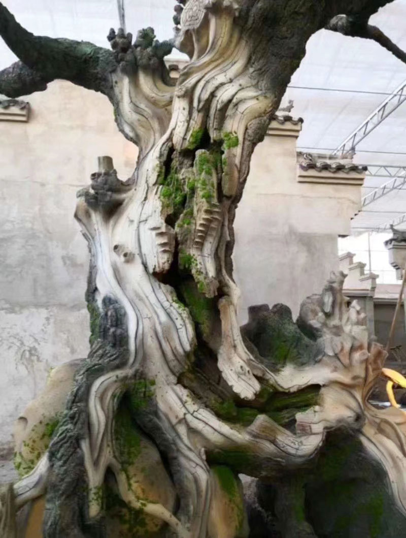 午夜在线视频观看树安装