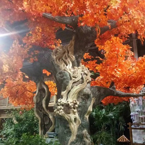 水泥午夜在线视频观看树